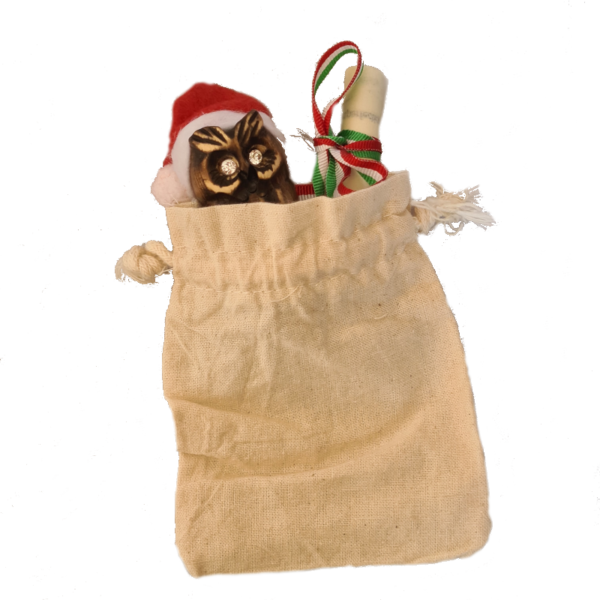 Gufo Cucciolo Natale - Strass Bianco - immagine 4