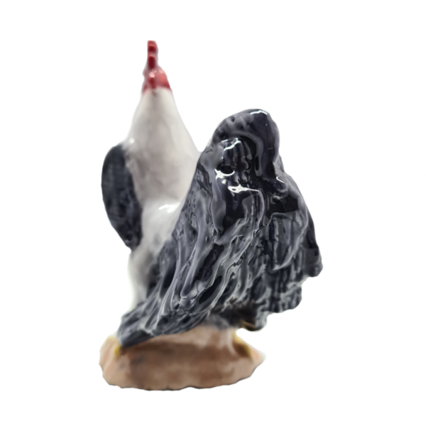 Gallo Bicolor Nero & Bianco - immagine 3