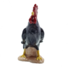 Gallo Nero - immagine 2