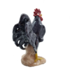 Gallo Nero - immagine 3