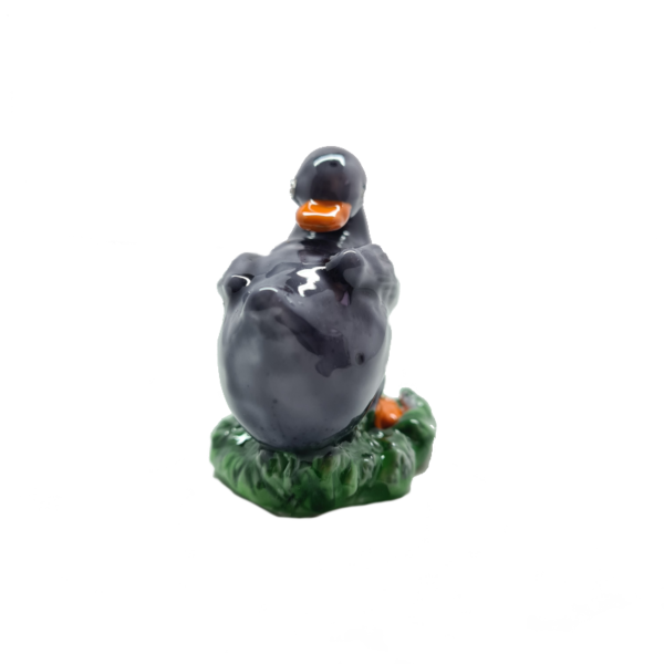 Oca Nera Con Uova - immagine 4
