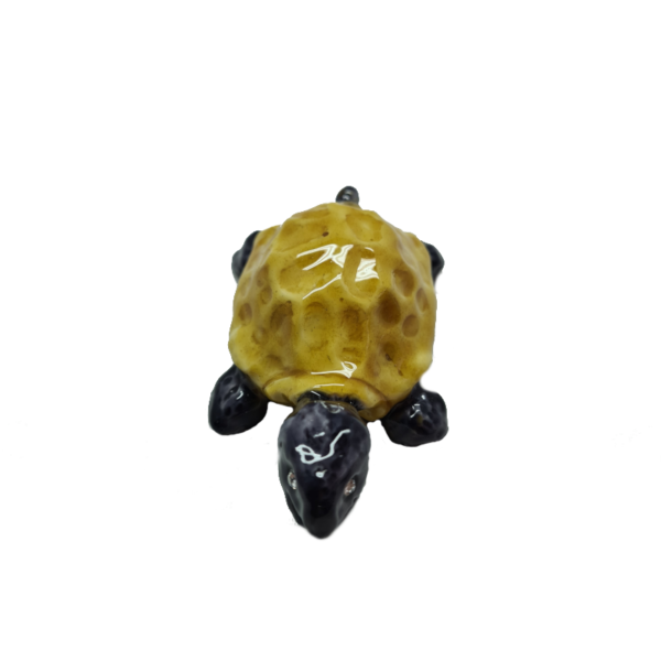 Tartaruga Bicolor Cognac & Nera - immagine 3
