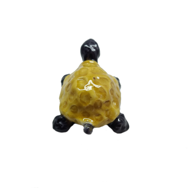 Tartaruga Bicolor Cognac & Nera - immagine 4