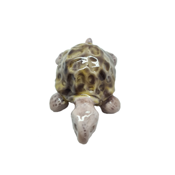 Tartaruga Bicolor Biscotto & Cognac - immagine 4